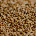 Heliosur - Alimentación de calidad - Fase 2